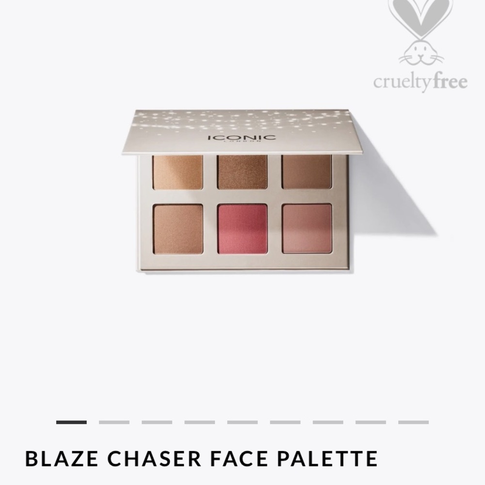Face Palette